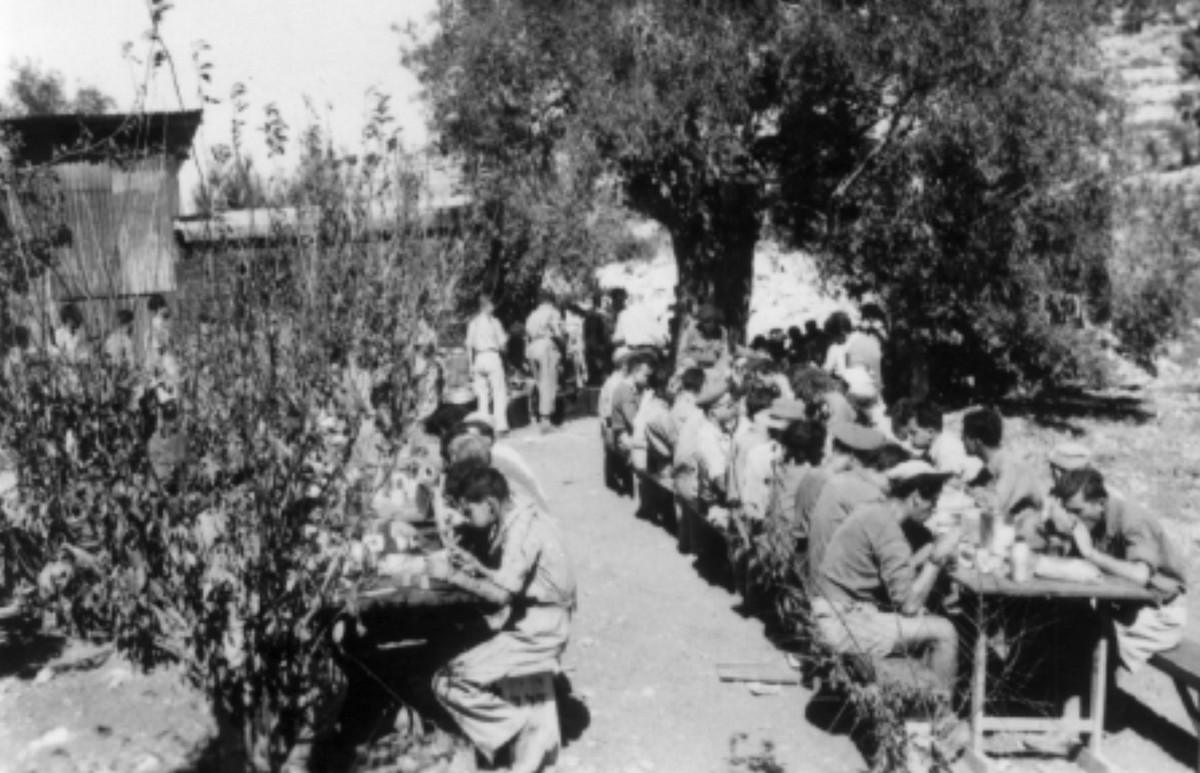 סריס (כיום שורש)