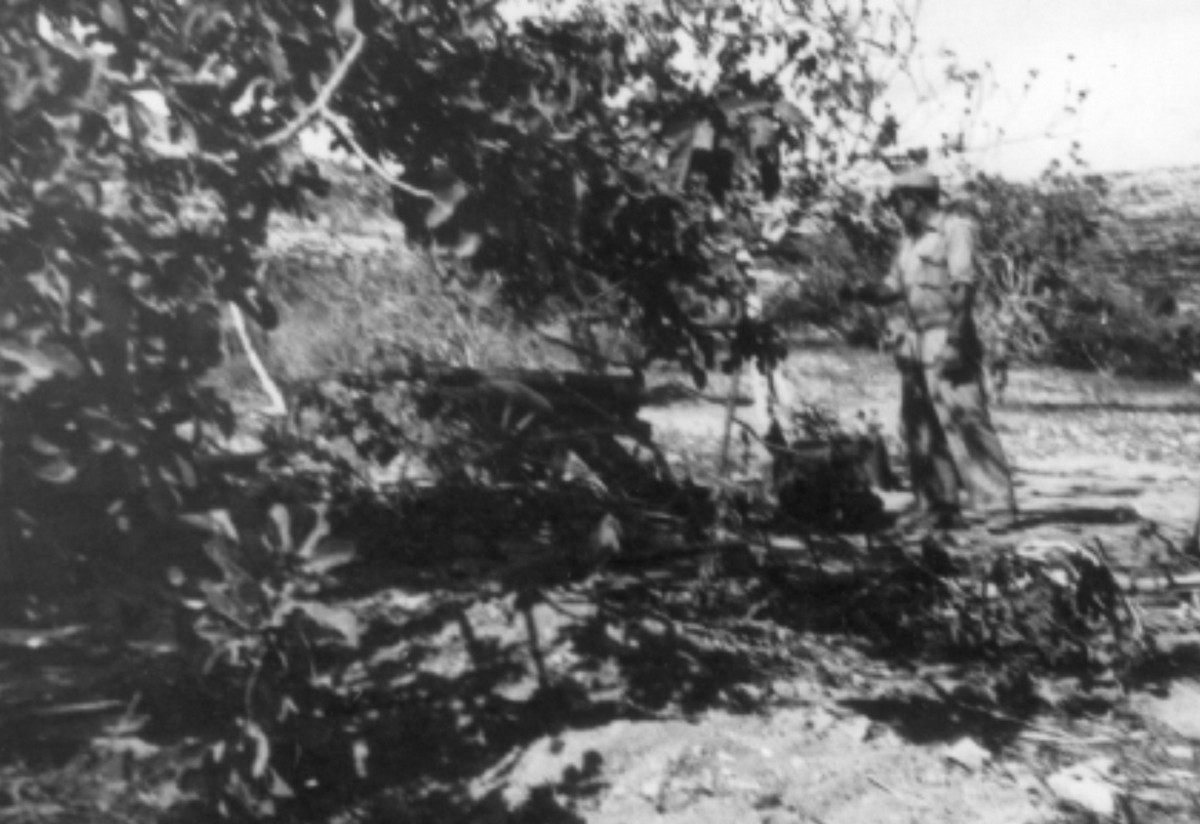 משלטי שער הגיא (באב-אל-ואד)