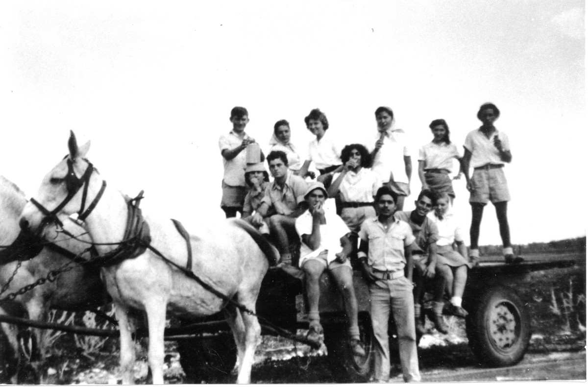 הכשרת בית-השיטה – פלוגה ד'
