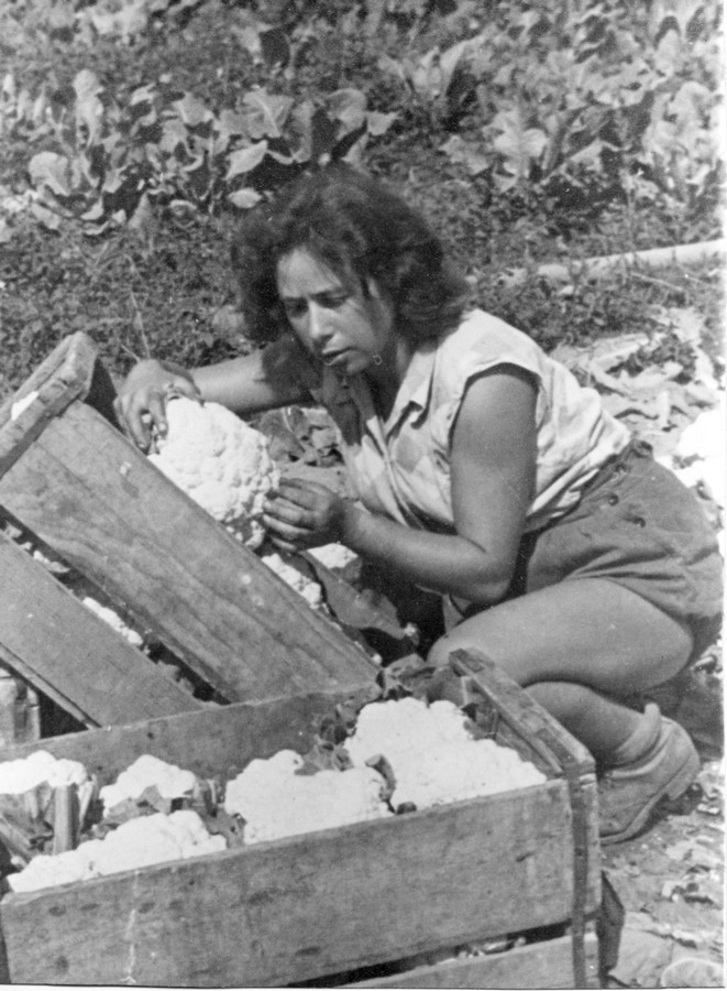 הכשרת עין-השופט – -קבוצת הכובש – פלוגה א'