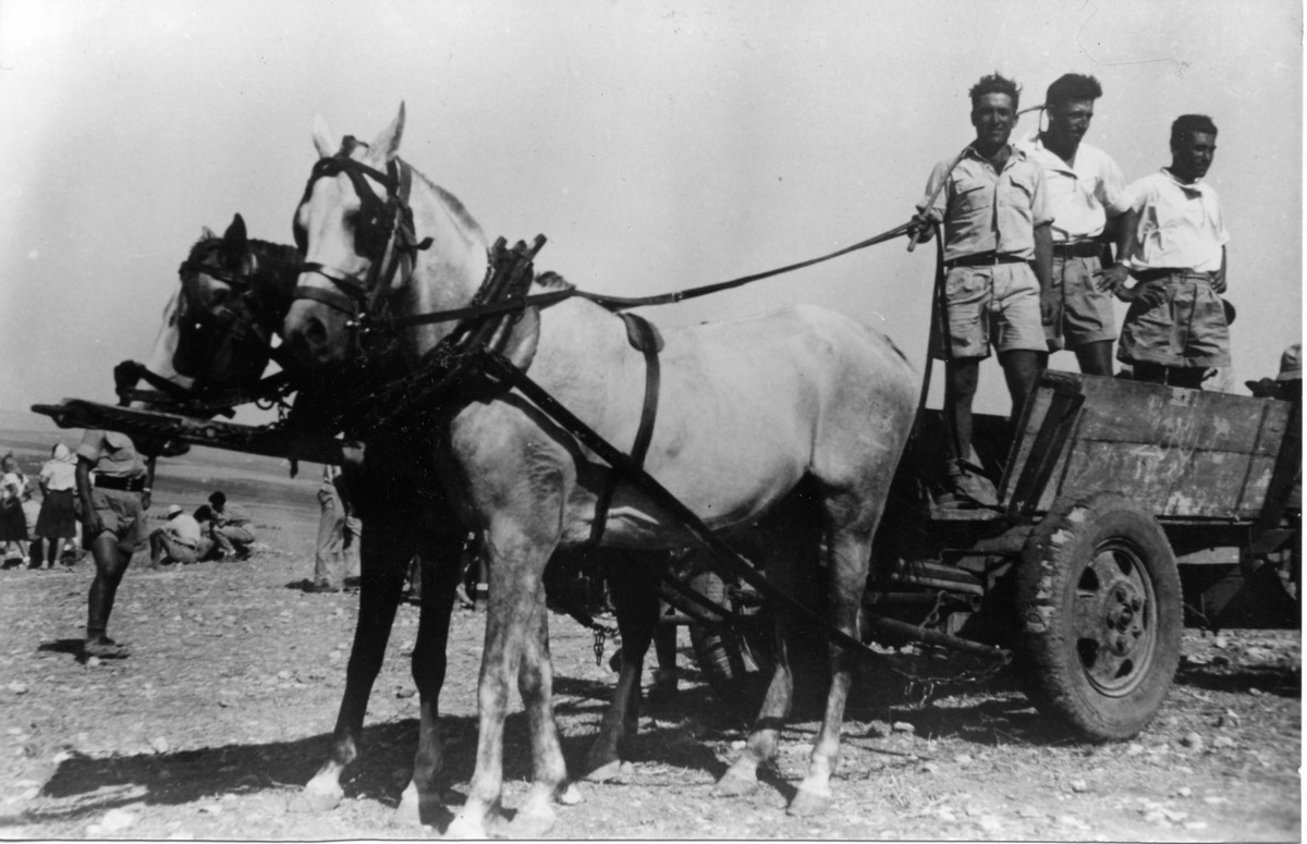 תמונה הכשרת רמת יוחנן – עלייה להתיישבות