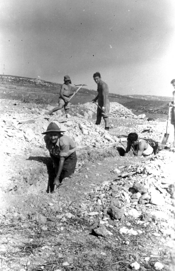 הכשרת דליה