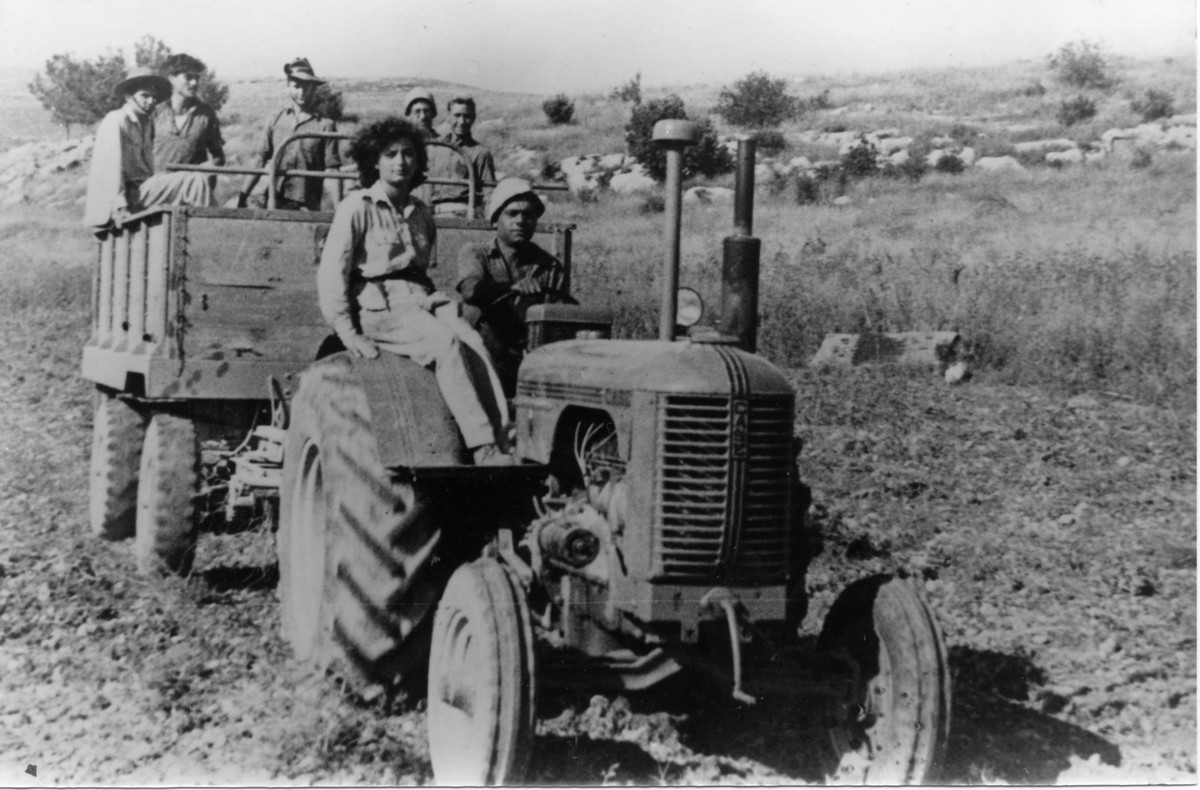 הכ דליה