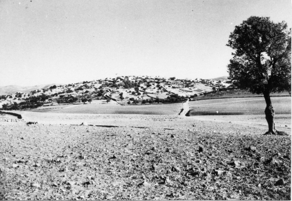 כיבוש בית-גוברין והסביבה