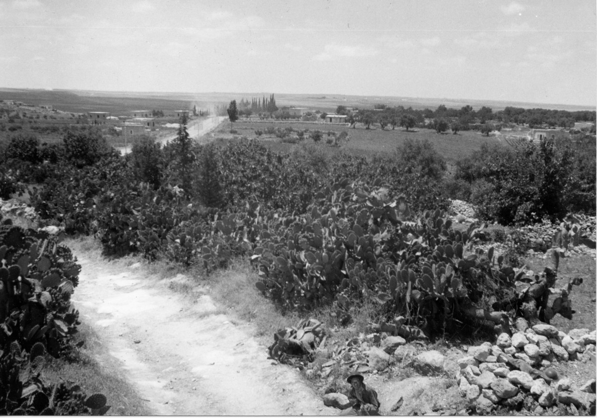 הכשרת גבת – פלוגה ג' מסייעת