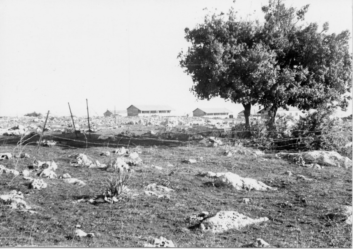הכשרת גבת – פלוגה ג' מסייעת