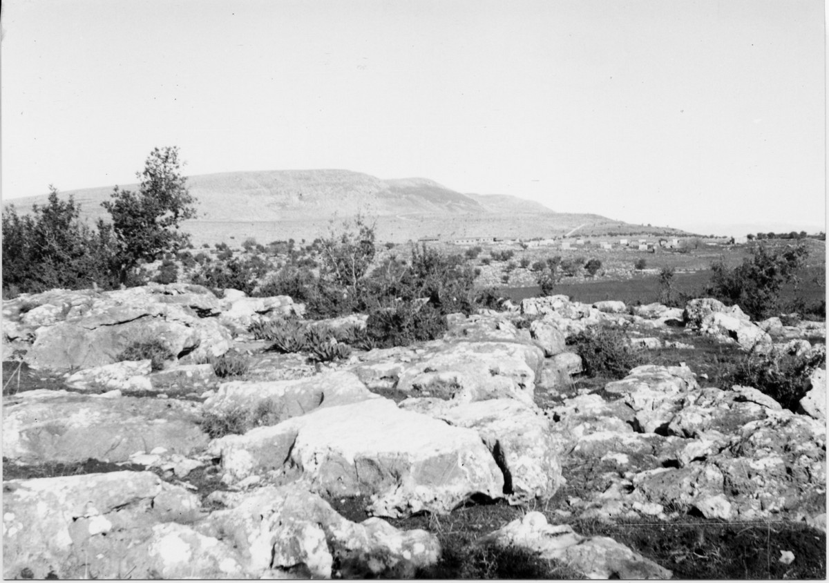 הכשרת גבת – פלוגה ג' מסייעת