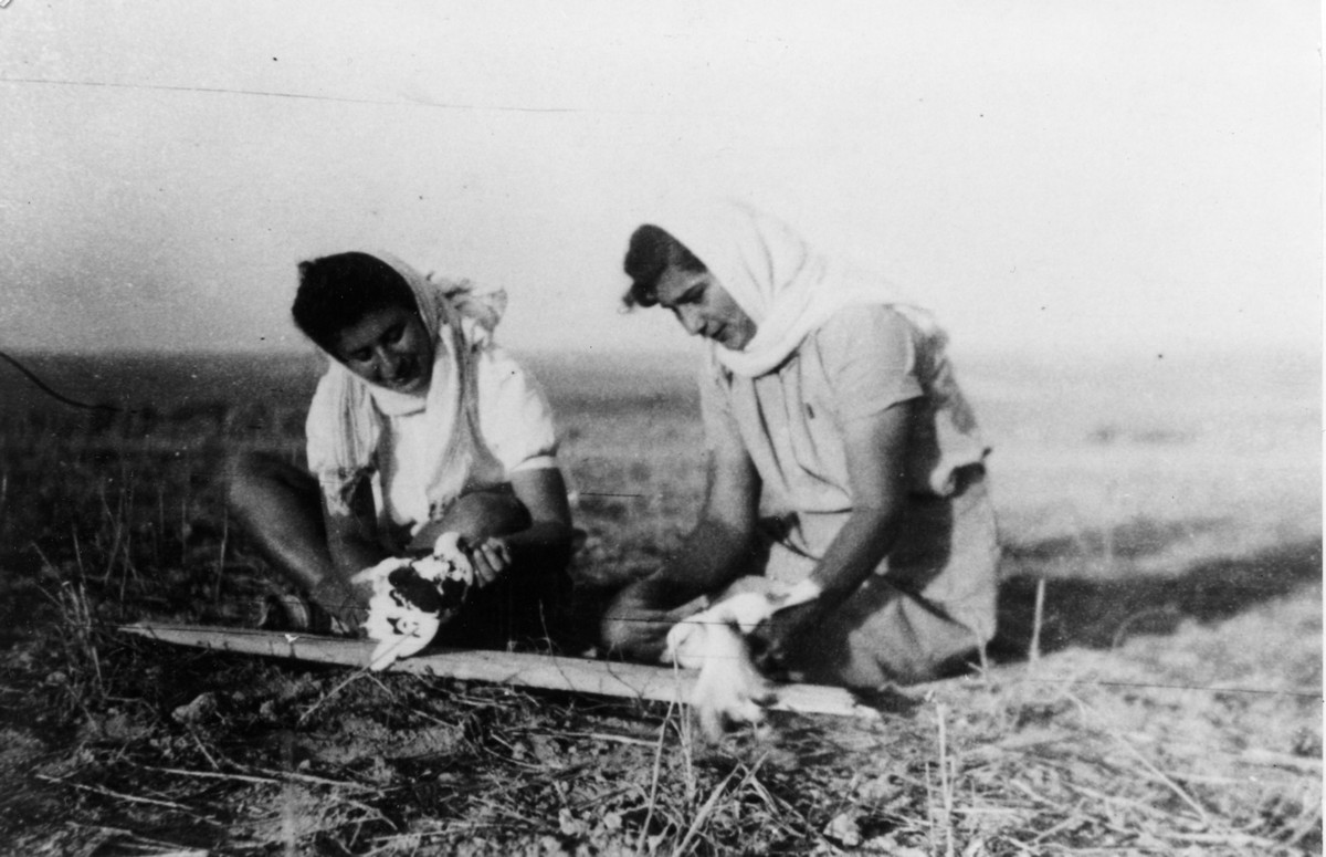 הכשרת תל-יוסף – פלוגה ג' מסייעת