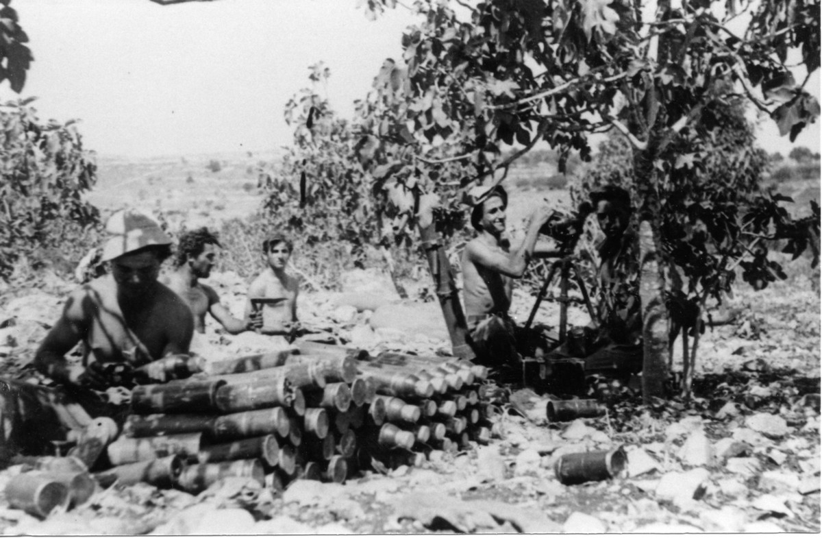 מבצע דני "עשרת הימים"