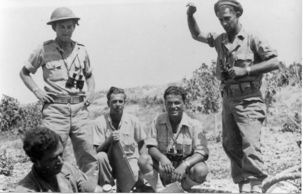 מבצע דני "עשרת הימים"
