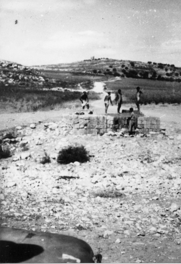 מבצע דני "עשרת הימים"