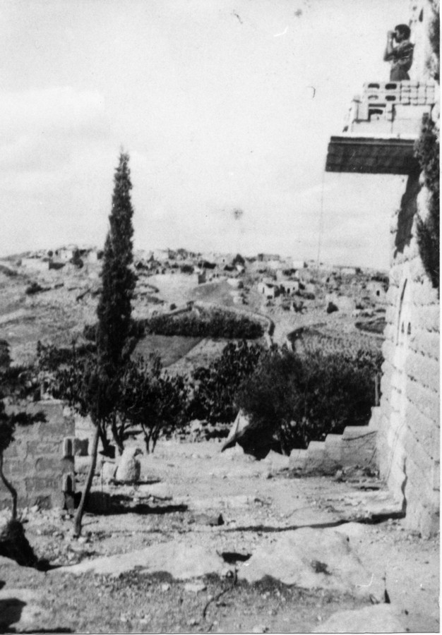 מבצע דני "עשרת הימים"