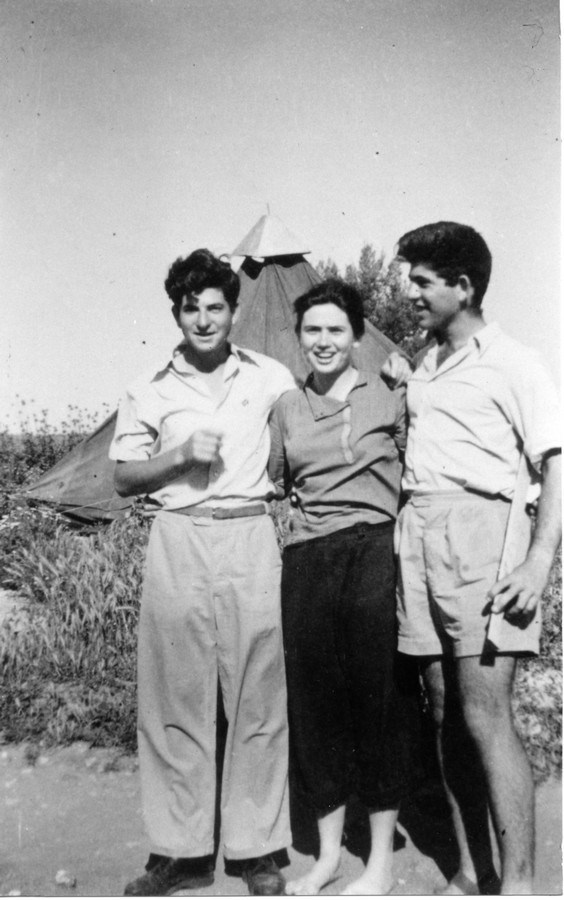 תעסוקה מבצעית