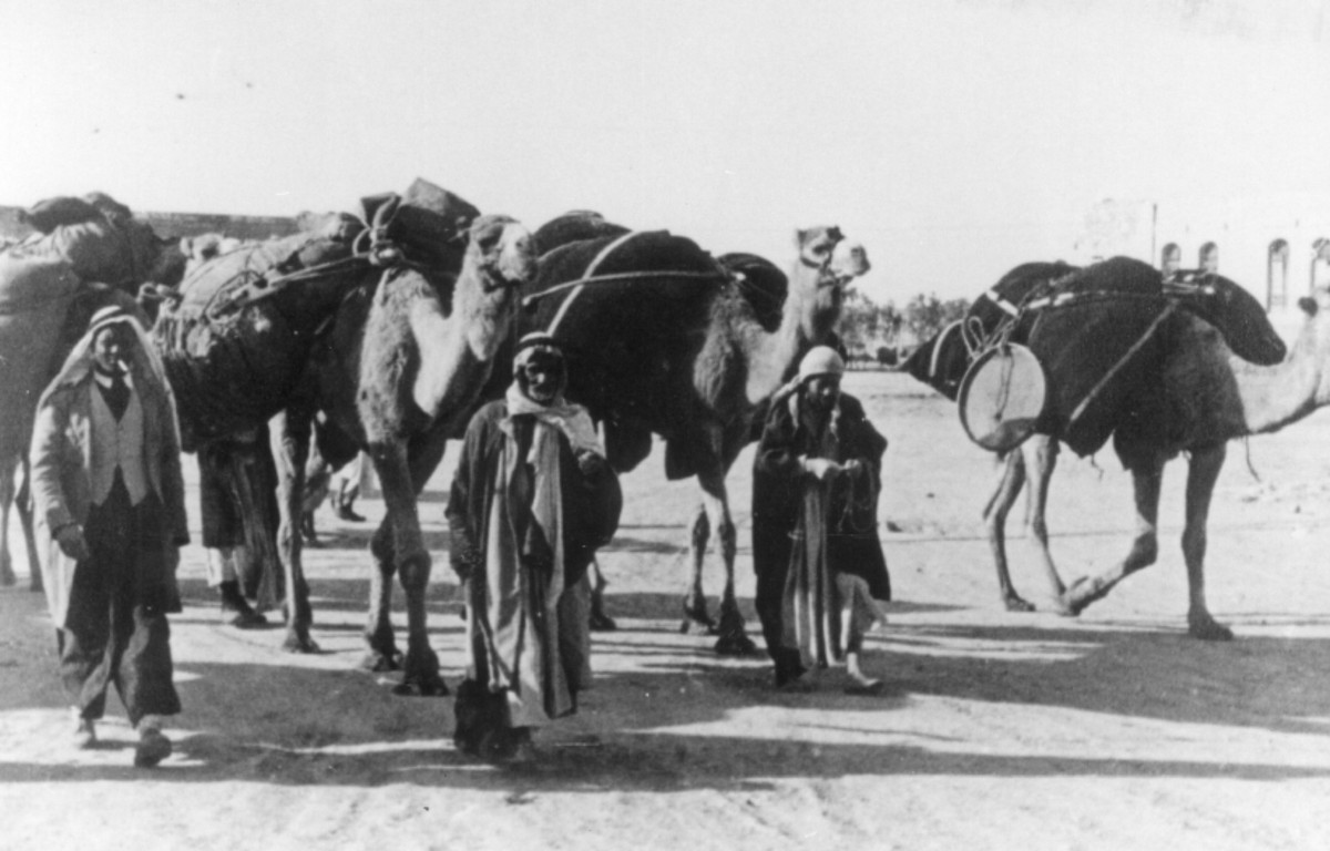 בבאר-שבע הכבושה
