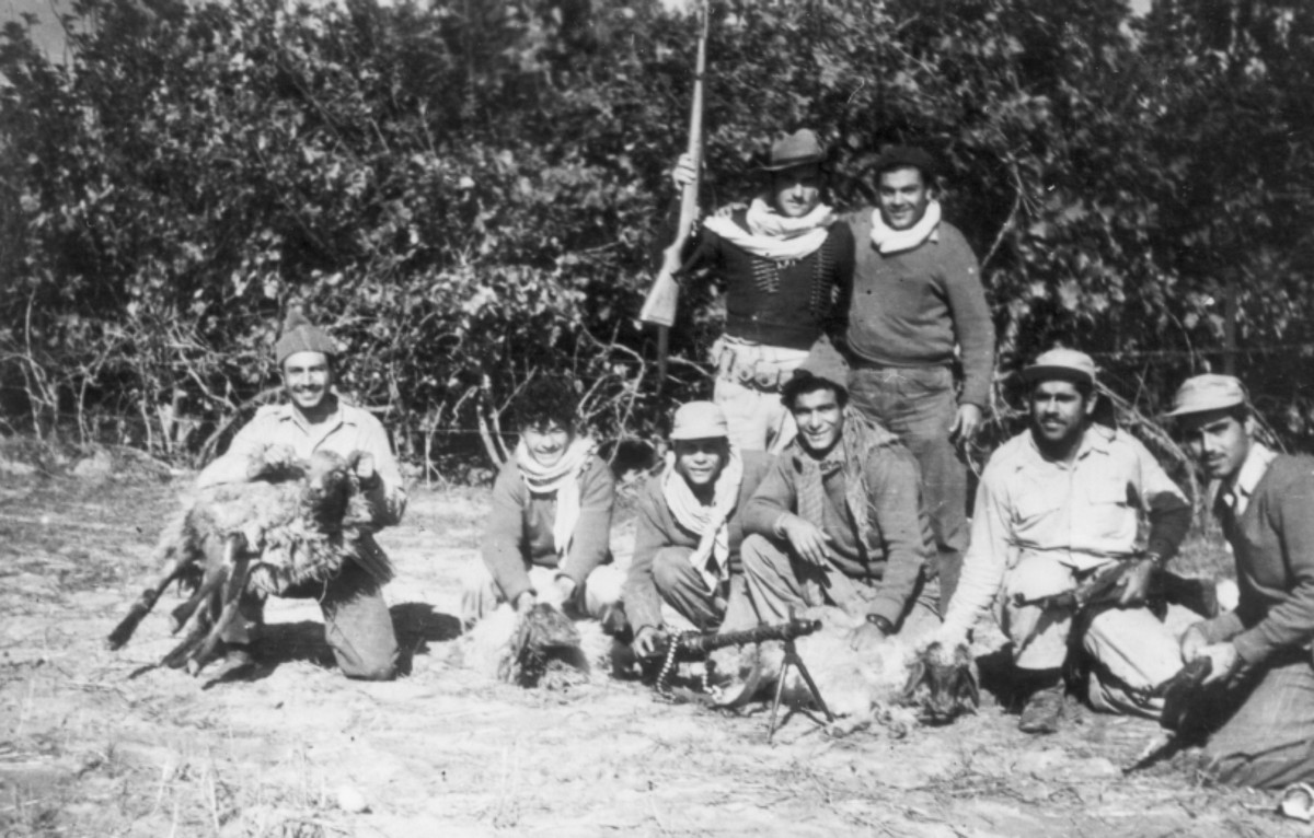 החלה ההפוגה קץ לקרבות (22-10-48)