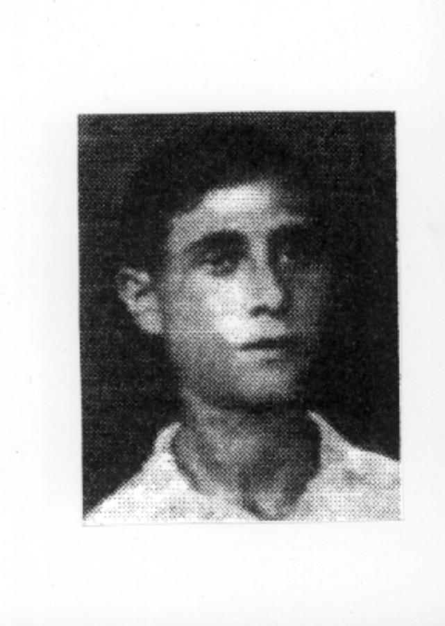 13.4.1948 – פשיטה על הכפר חלסה