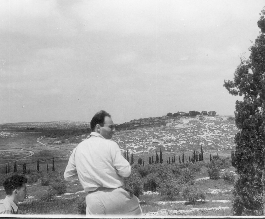 תרבות