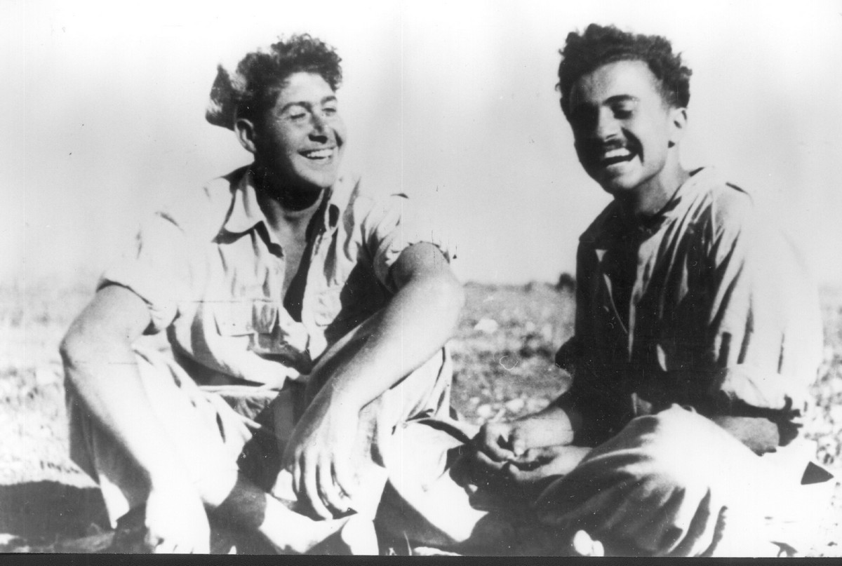 פלמחניקים מן השורה