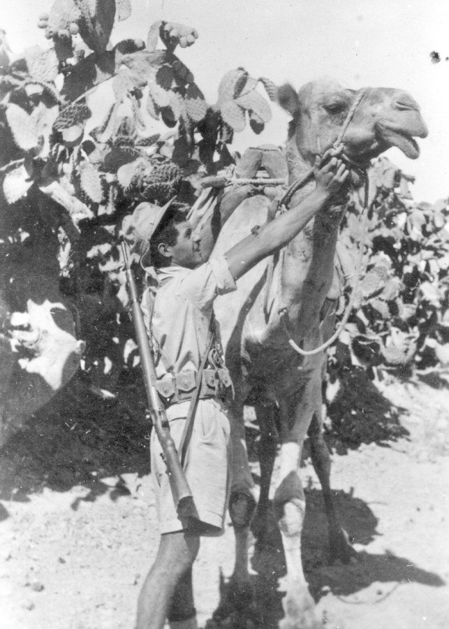 פלמחניקים מן השורה