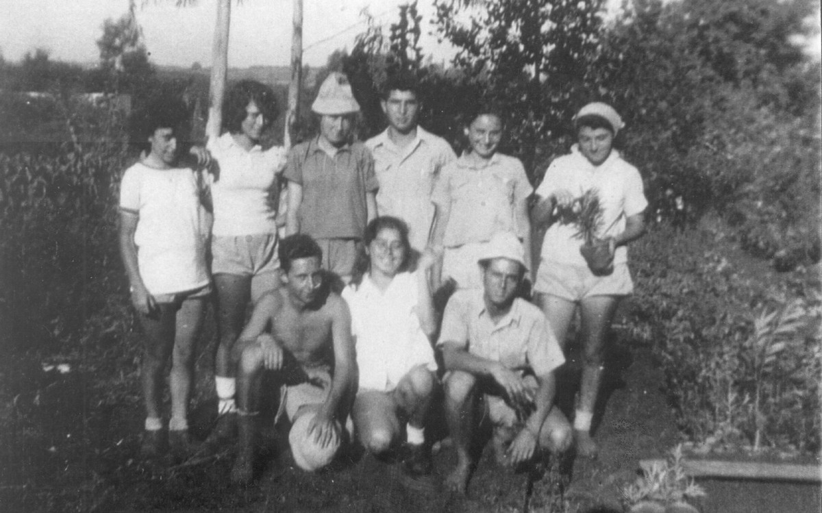 הכשרת ארז