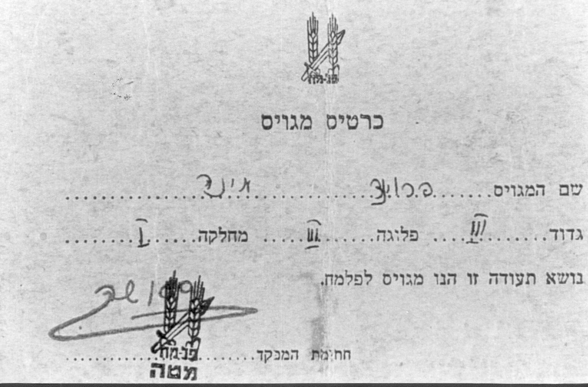 הכשרת ארז