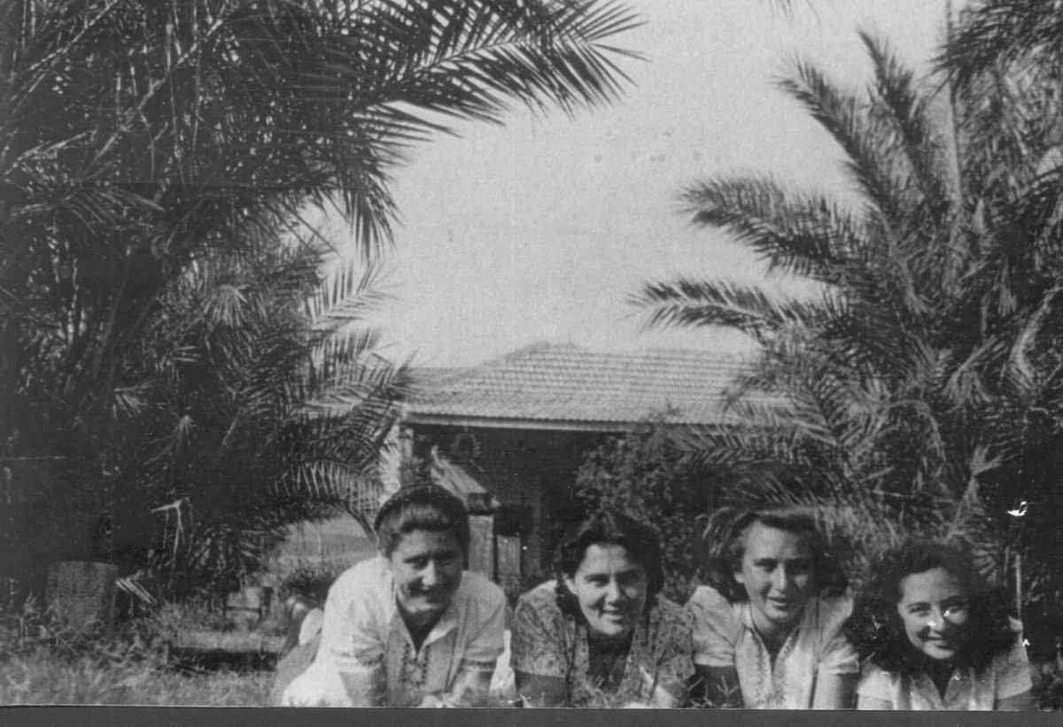 הכשרת ארז