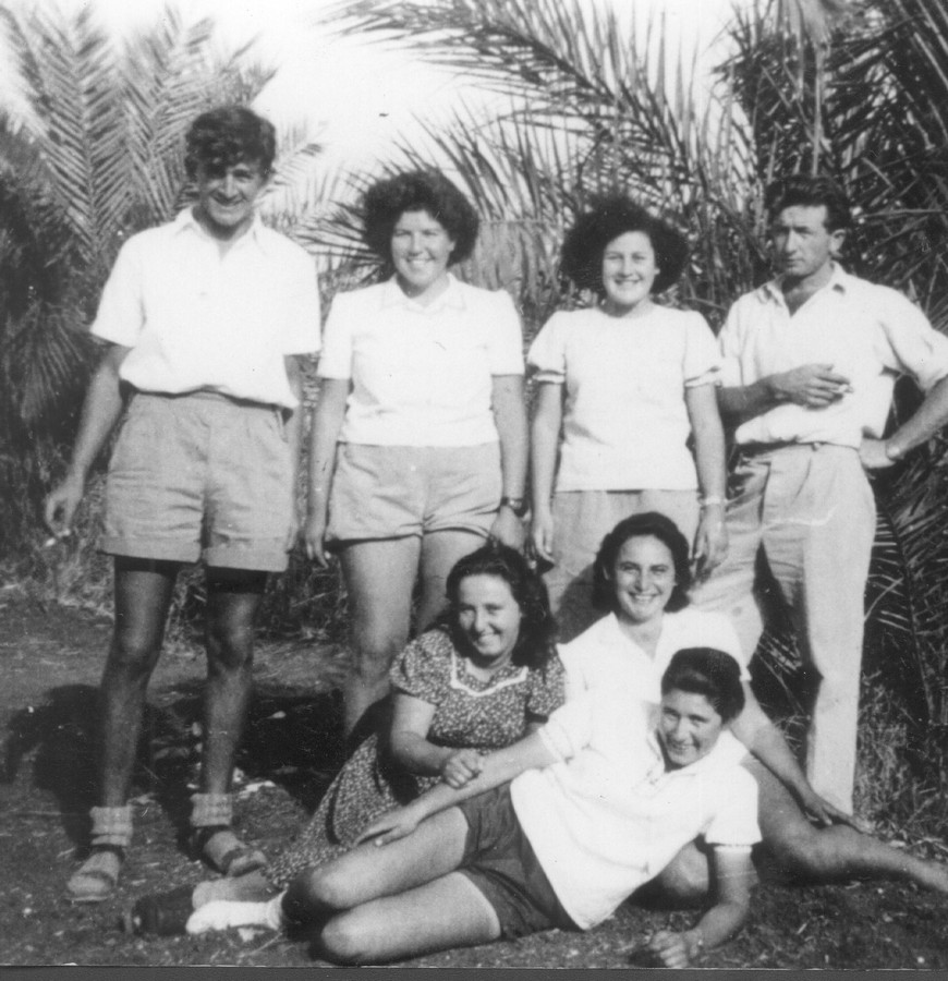הכשרת ארז