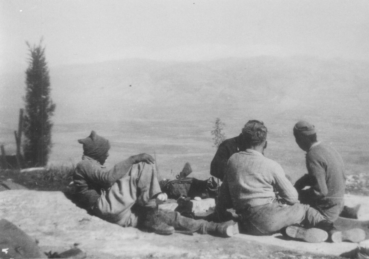 הכשרת ארז