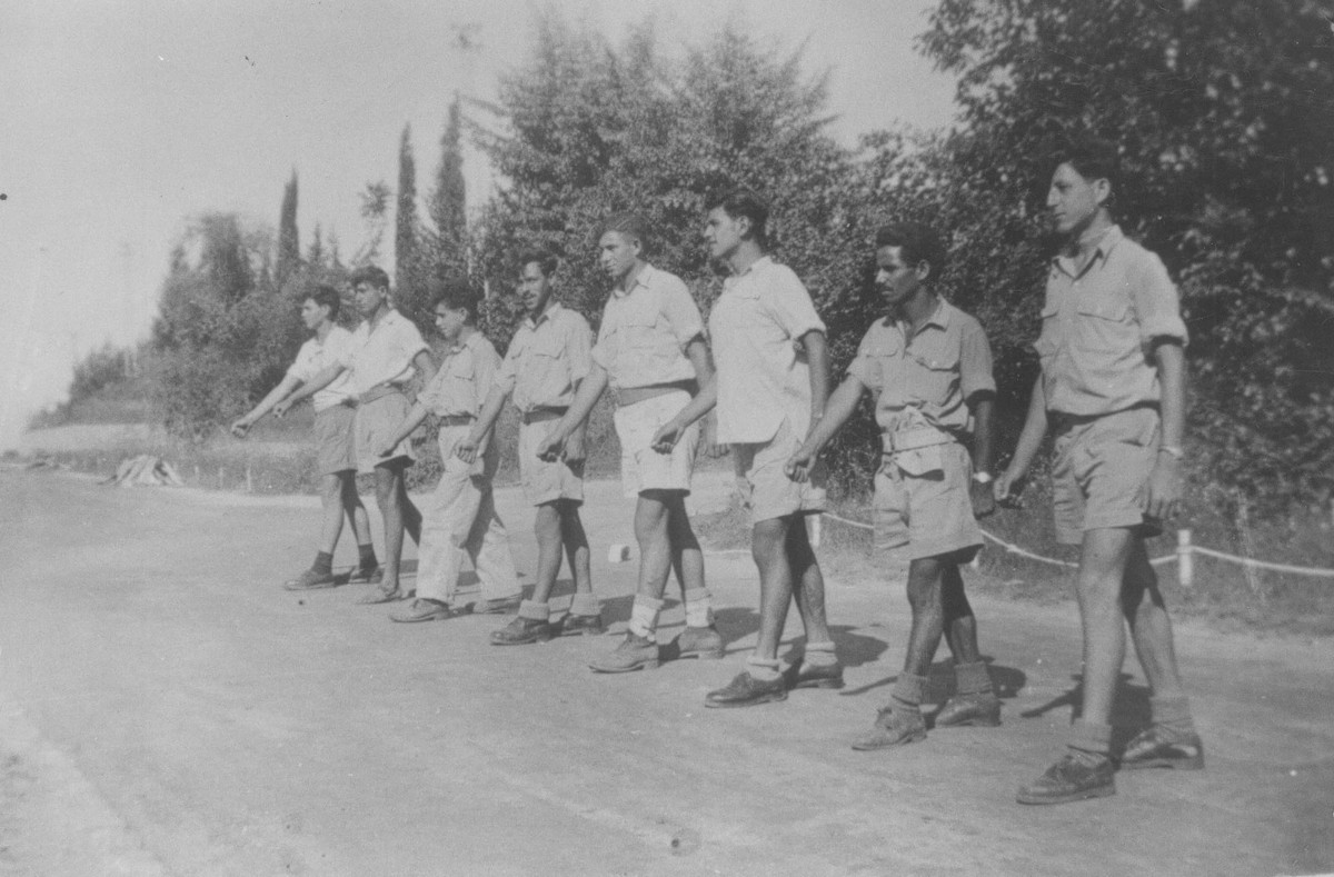 הכשרת ארז