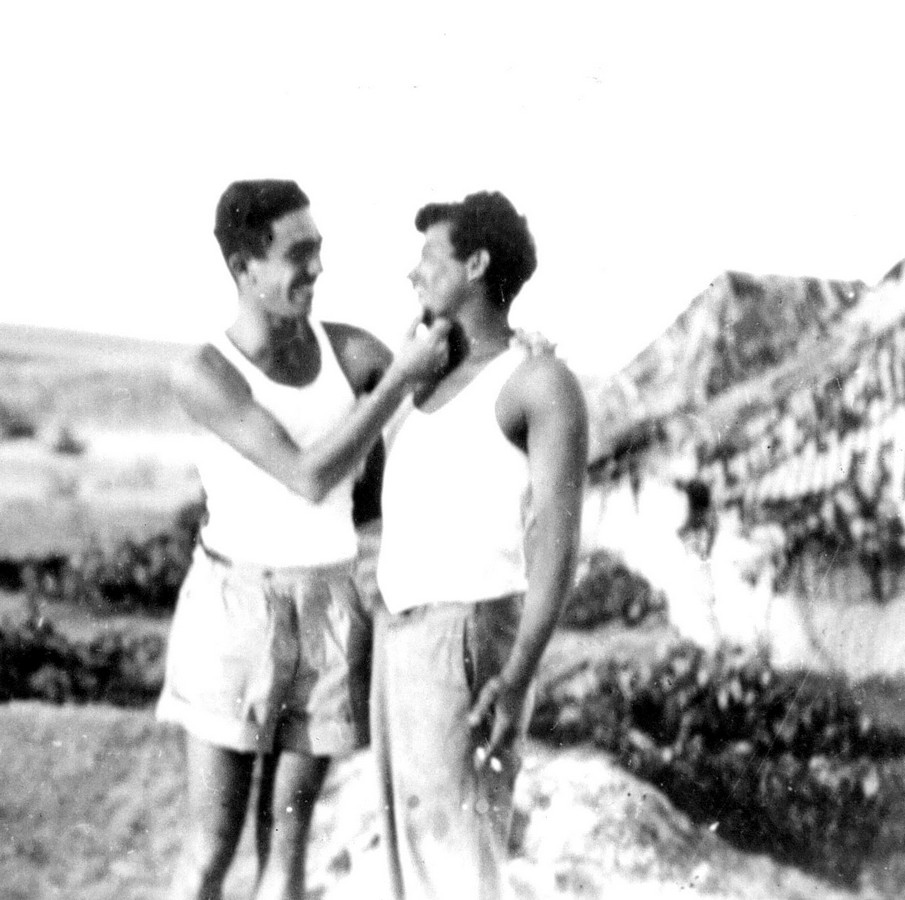 הכשרת ארז