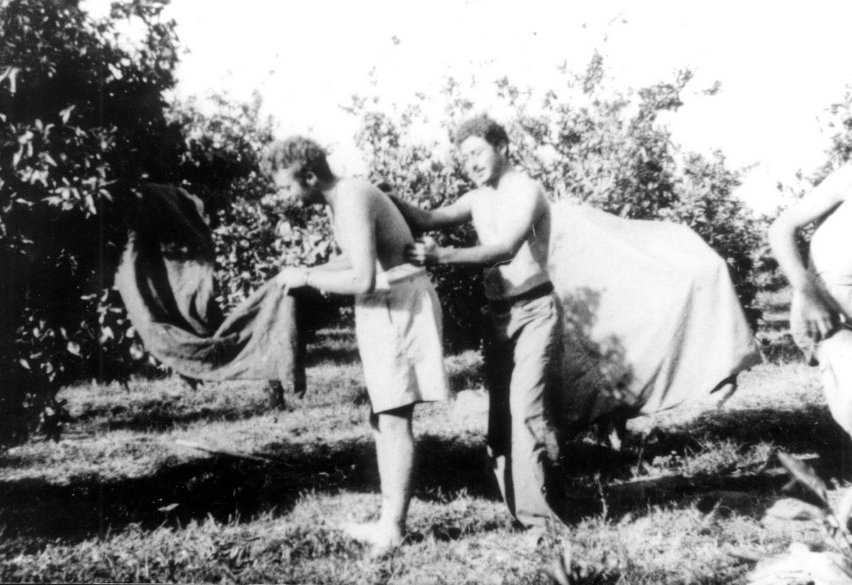 הכשרת ארז – פלוגה ג'
