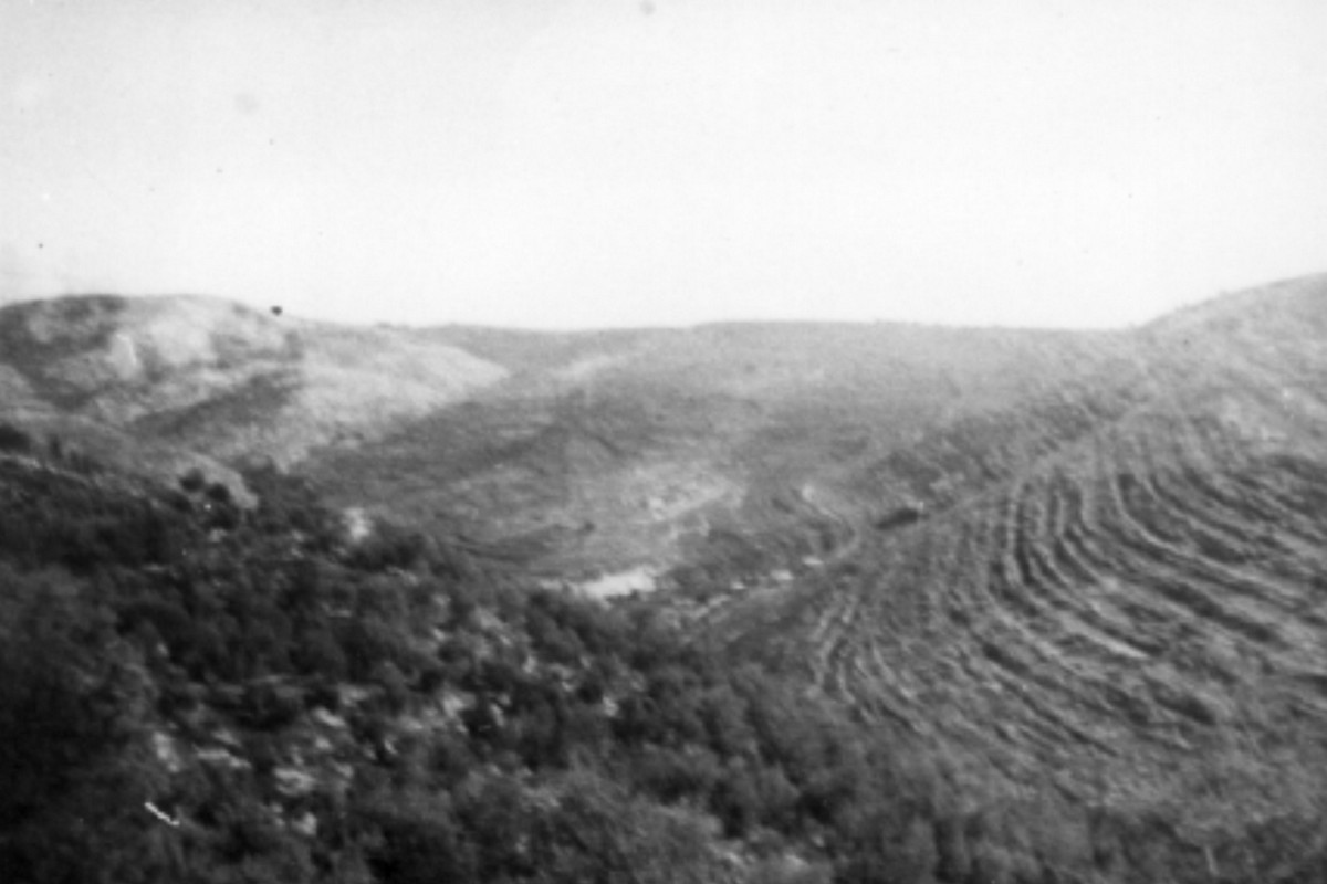 משלטי שער הגיא (באב-אל-ואד)