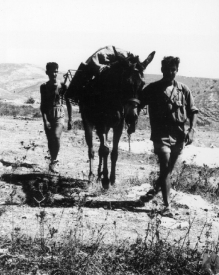 משלטי שער הגיא (באב-אל-ואד)