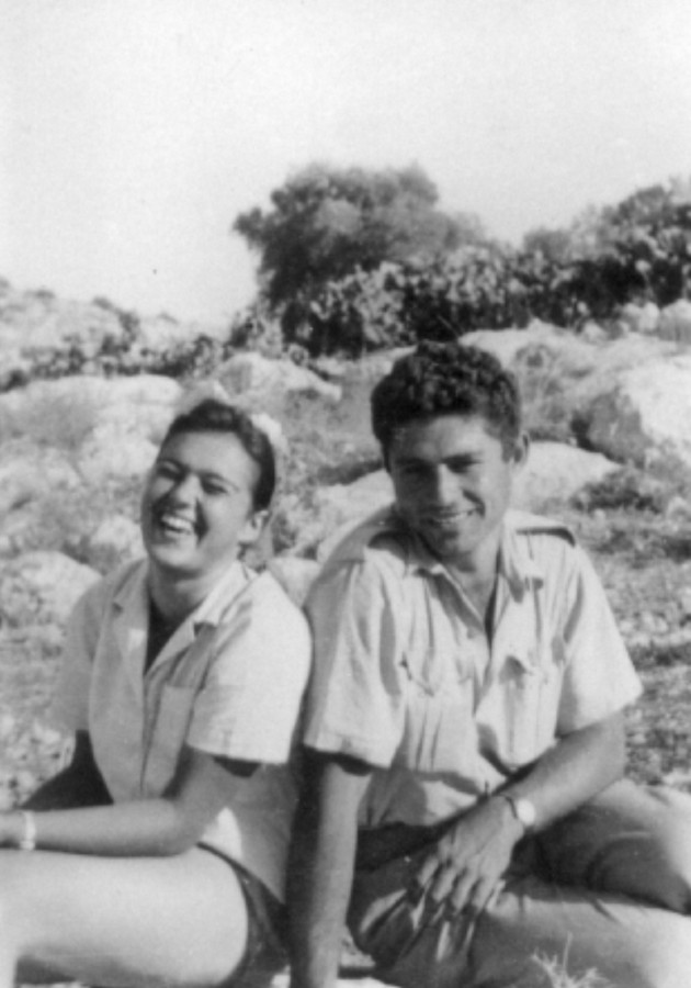 משלטי שער הגיא (באב-אל-ואד)