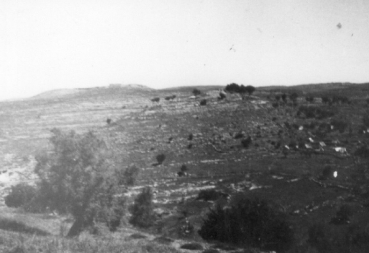 משלטי שער הגיא (באב-אל-ואד)