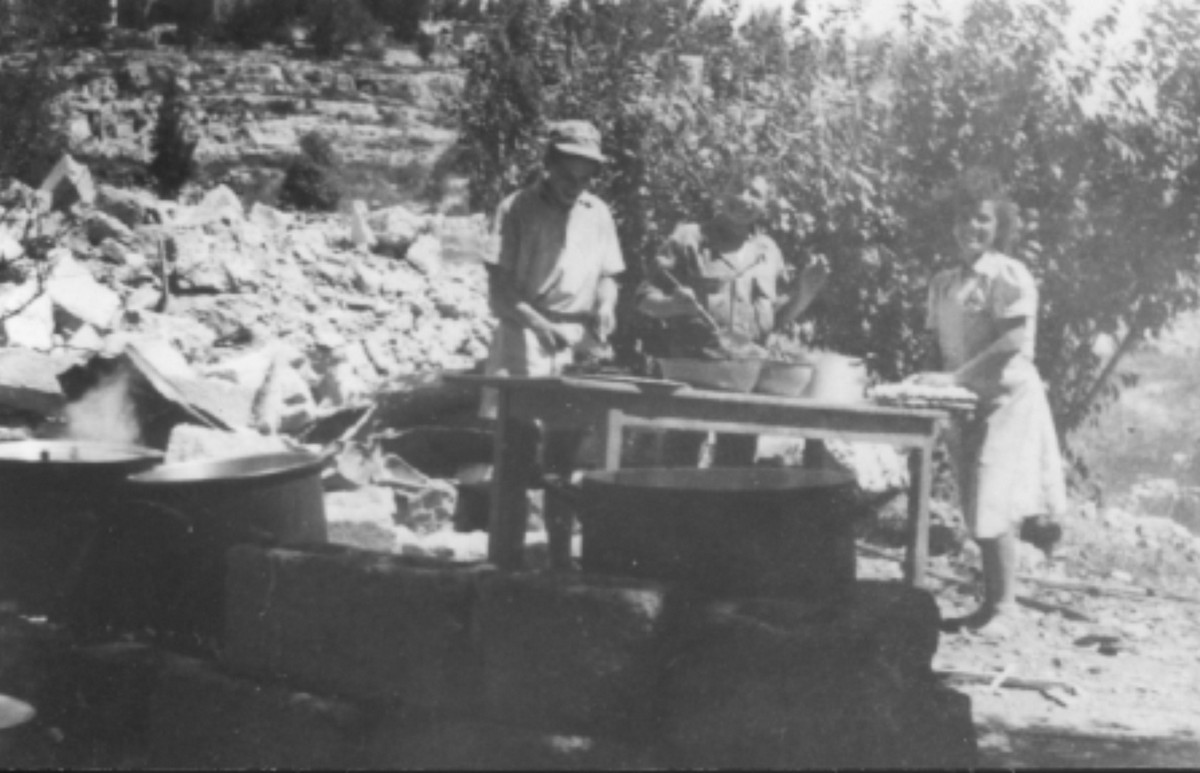  סריס (כיום שורש)