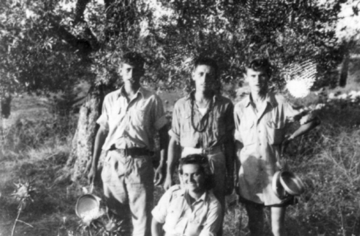 סריס (כיום שורש)