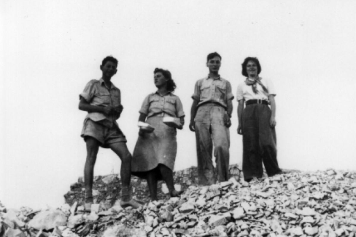 סריס (כיום שורש)