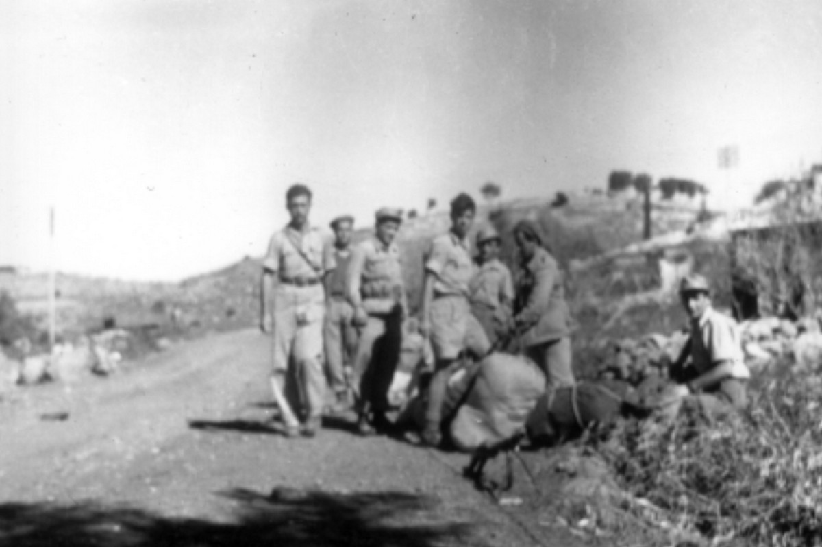  סריס (כיום שורש)