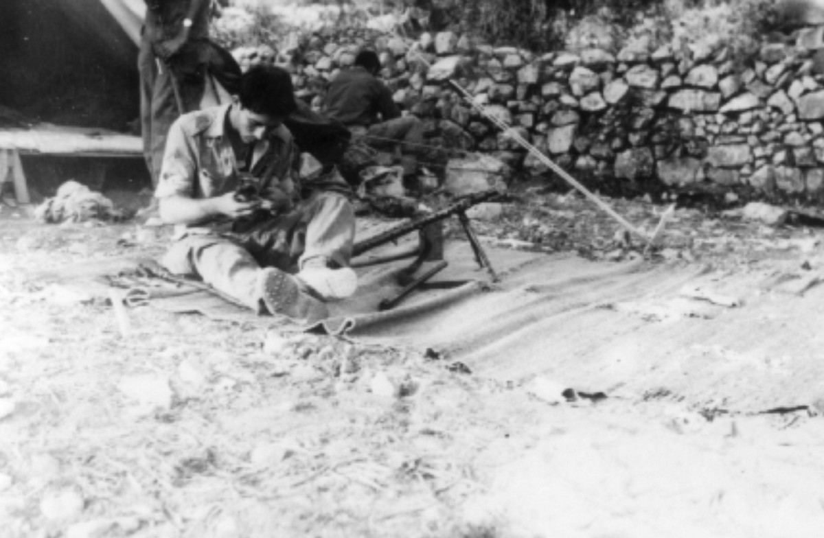 סריס (כיום שורש)