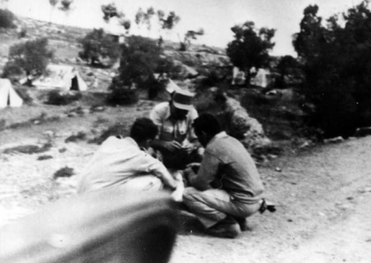  סריס (כיום שורש)