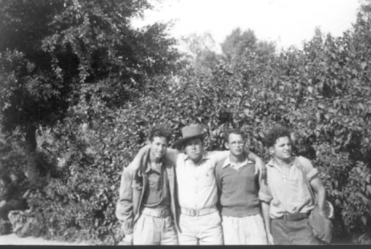 קריית-ענבים, מעלה-החמישה, אבו-גוש