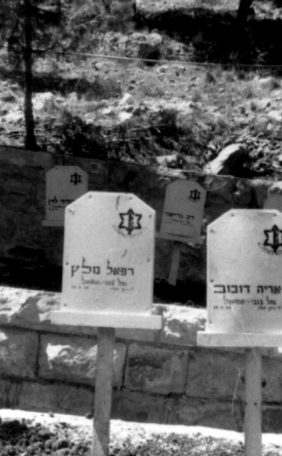 קריית-ענבים, מעלה-החמישה, אבו-גוש