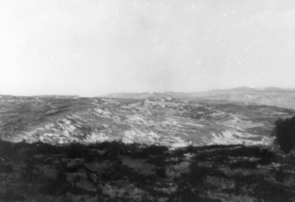 משלטי שער הגיא (באב-אל-ואד)