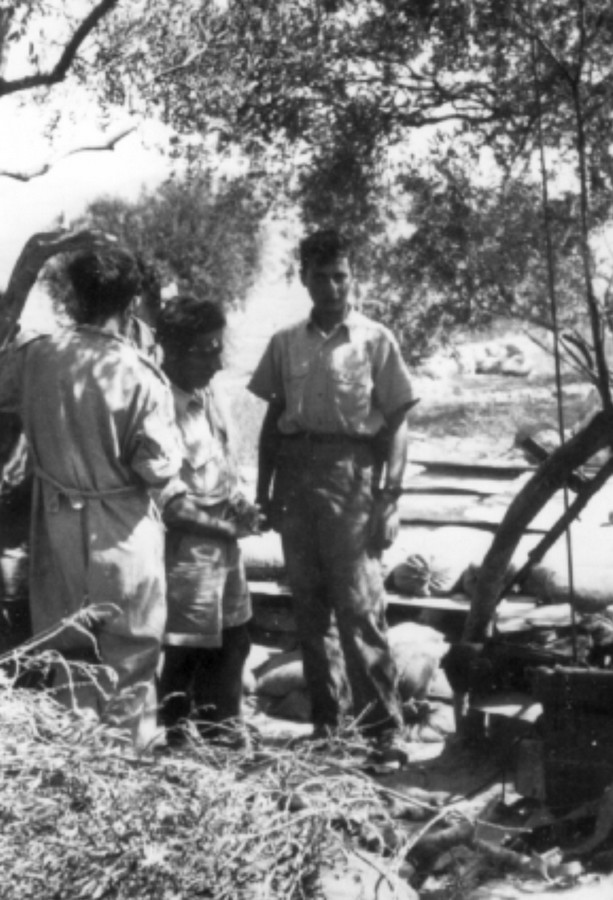משלטי שער הגיא (באב-אל-ואד)