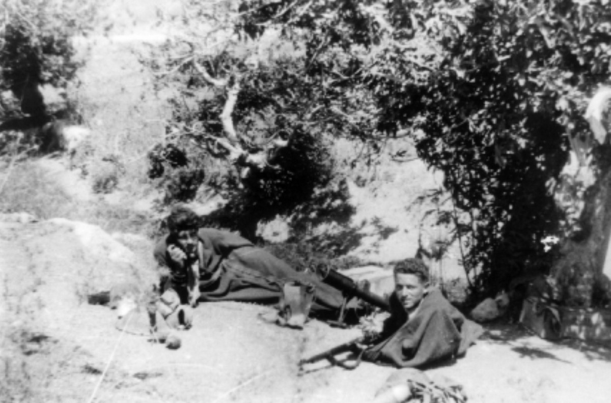 משלטי שער הגיא (באב-אל-ואד)