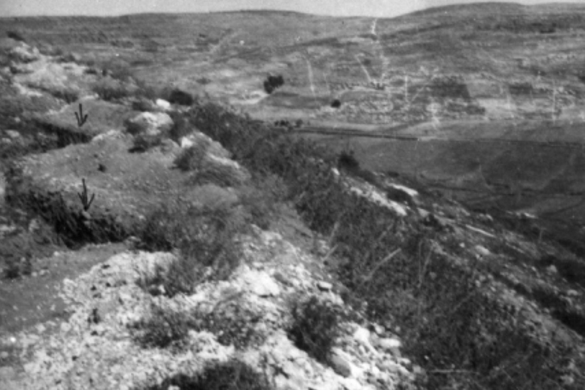 משלטי לטרון 