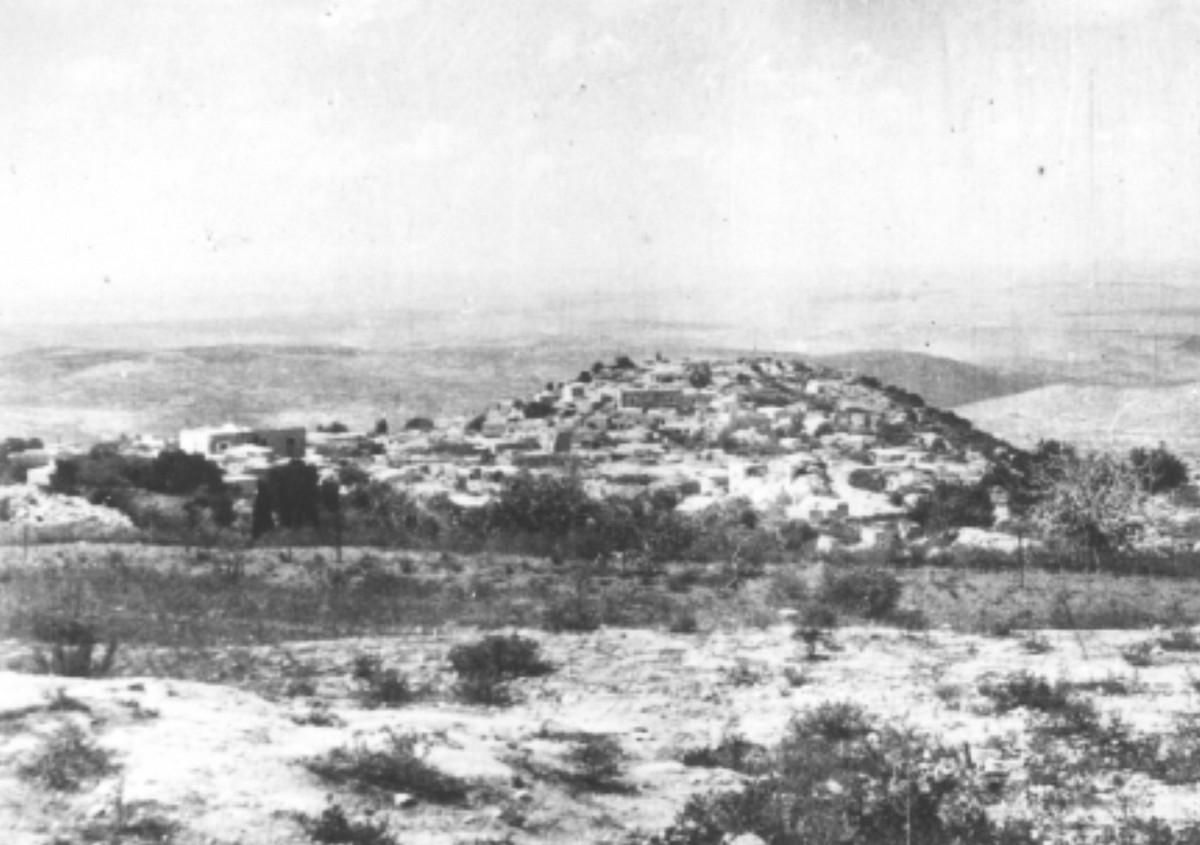 סריס (כיום שורש)