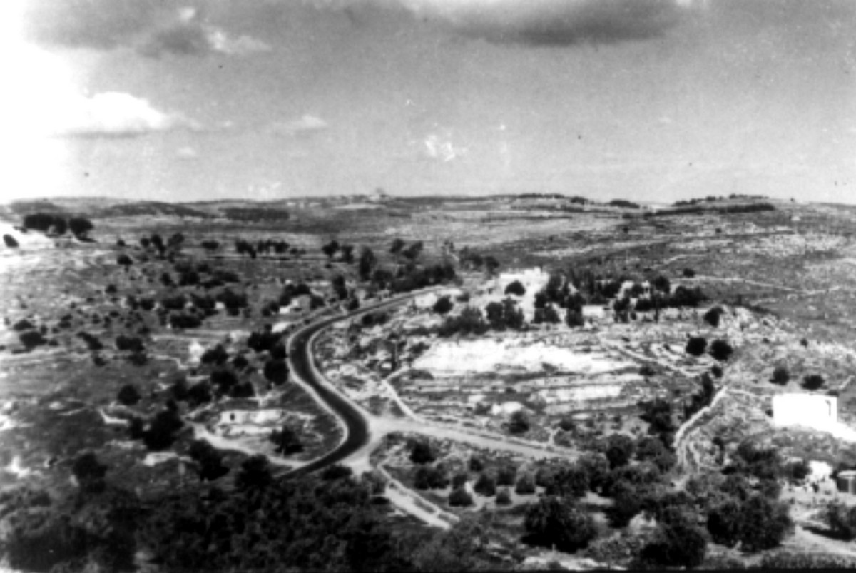  סריס (כיום שורש)