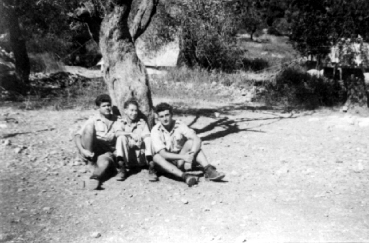 סריס (כיום שורש)